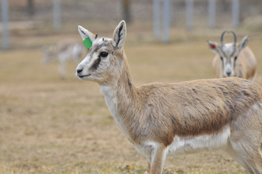 Similar image 22189934