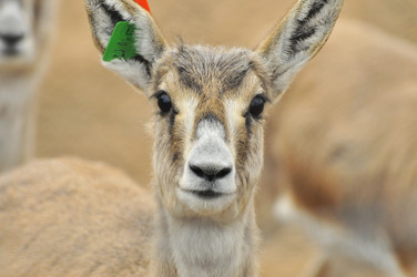 Similar image 22189935