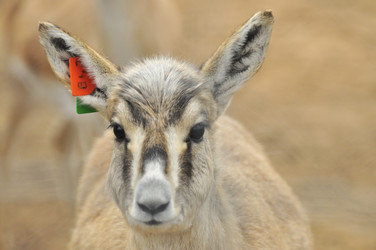 Similar image 22189936