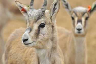 Similar image 22189937