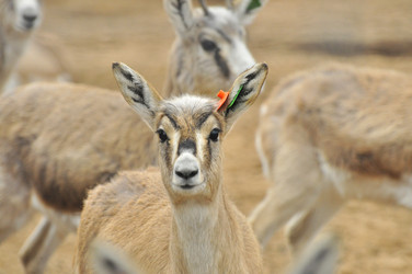 Similar image 22189938