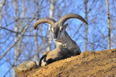 Similar image 22189939