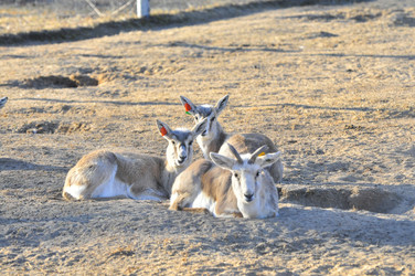 Similar image 22189940