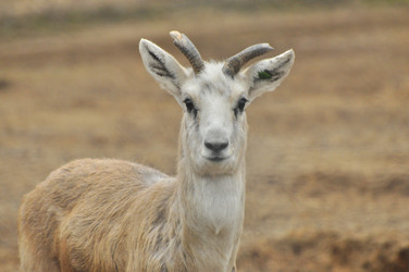 Similar image 22189941