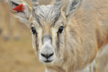 Similar image 22189943