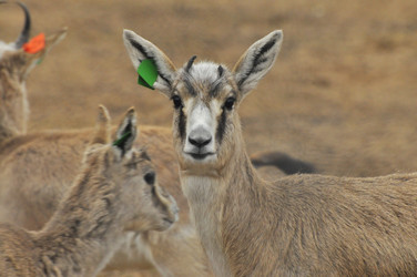 Similar image 22189944