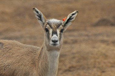 Similar image 22189945