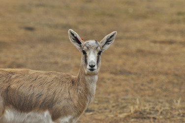 Similar image 22189946