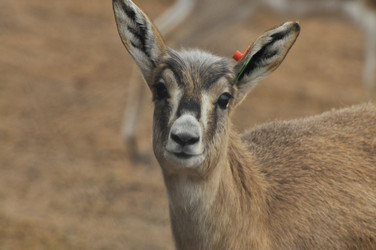 Similar image 22189948