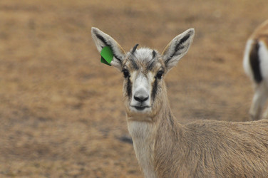 Similar image 22189949