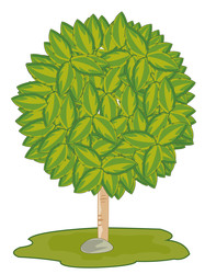 Similar image 22191291