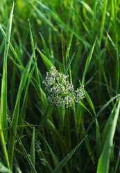 Similar image 22187080