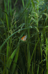 Similar image 22187081