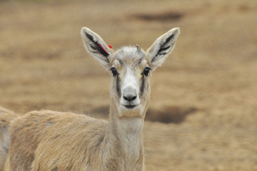 Similar image 22190245