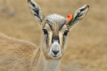 Similar image 22190246