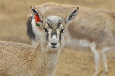 Similar image 22190247