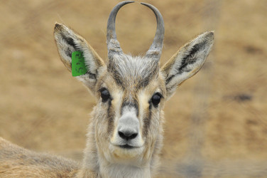 Similar image 22190248