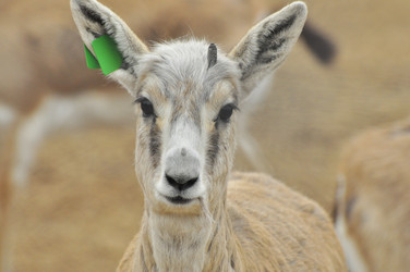 Similar image 22190249