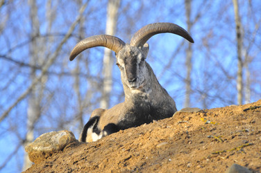 Similar image 22190250