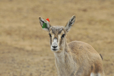 Similar image 22190251