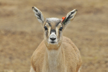 Similar image 22190252