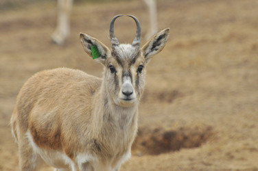 Similar image 22190253