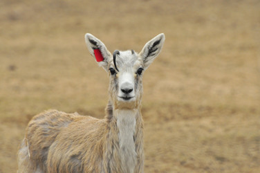 Similar image 22190255