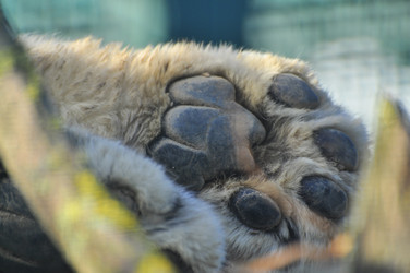 Similar image 22190256