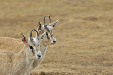 Similar image 22190257