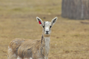 Similar image 22190258