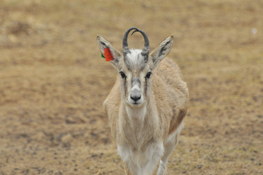 Similar image 22189950