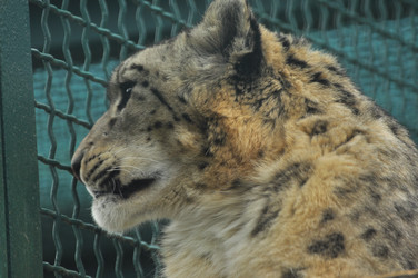 Similar image 22189951