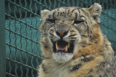 Similar image 22189953