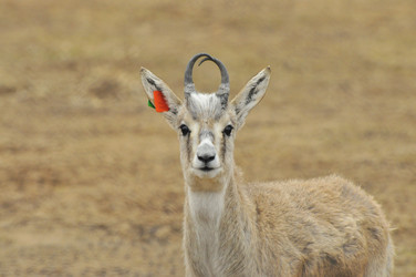 Similar image 22189954