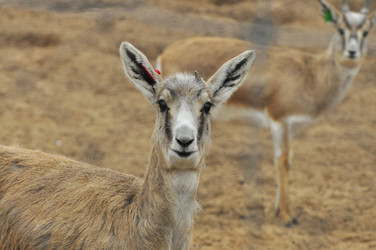 Similar image 22189956