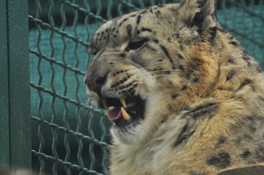 Similar image 22189957