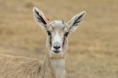 Similar image 22189958