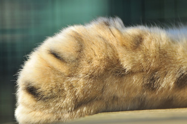 Similar image 22189959