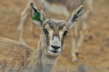 Similar image 22189960