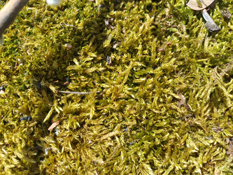 Similar image 22188891