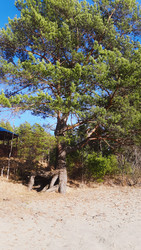 Similar image 22189034