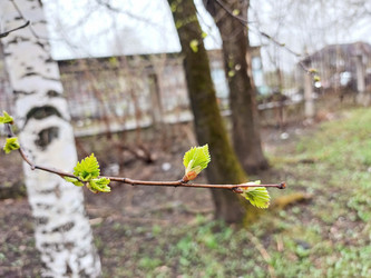 Similar image 22188630