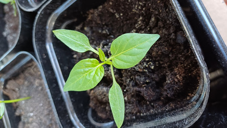 Similar image 22188642