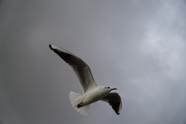 Similar image 22187082