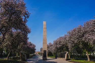 Similar image 22187083