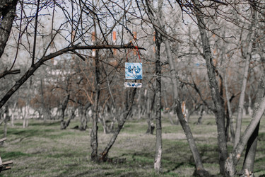 Similar image 22187090