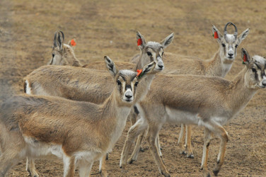 Similar image 22189961