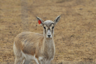 Similar image 22189962