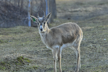 Similar image 22189963