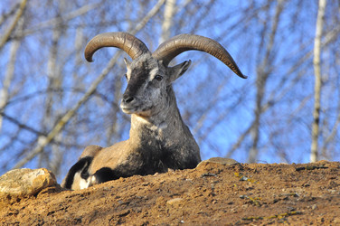 Similar image 22189964